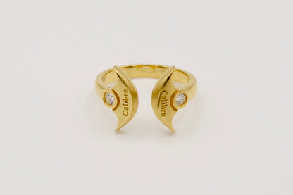 Cal.06-04 (22K)